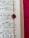Midnight Rose anklet.webp