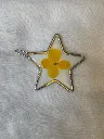 Juliet Starry Crown 2.webp