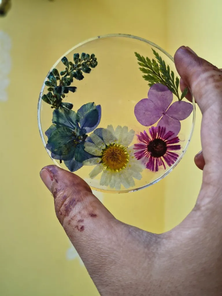 Meadow Coaster.webp