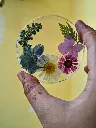 Meadow Coaster.webp