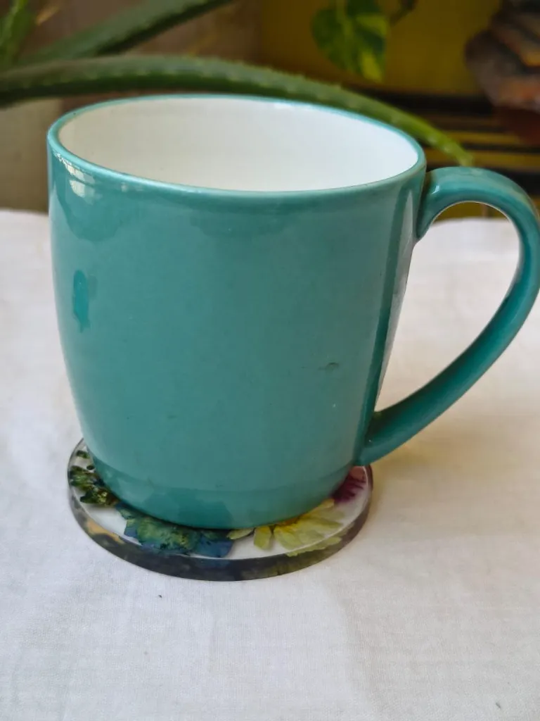 Meadow Coaster 2.webp