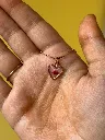 Secret Locket 2.webp