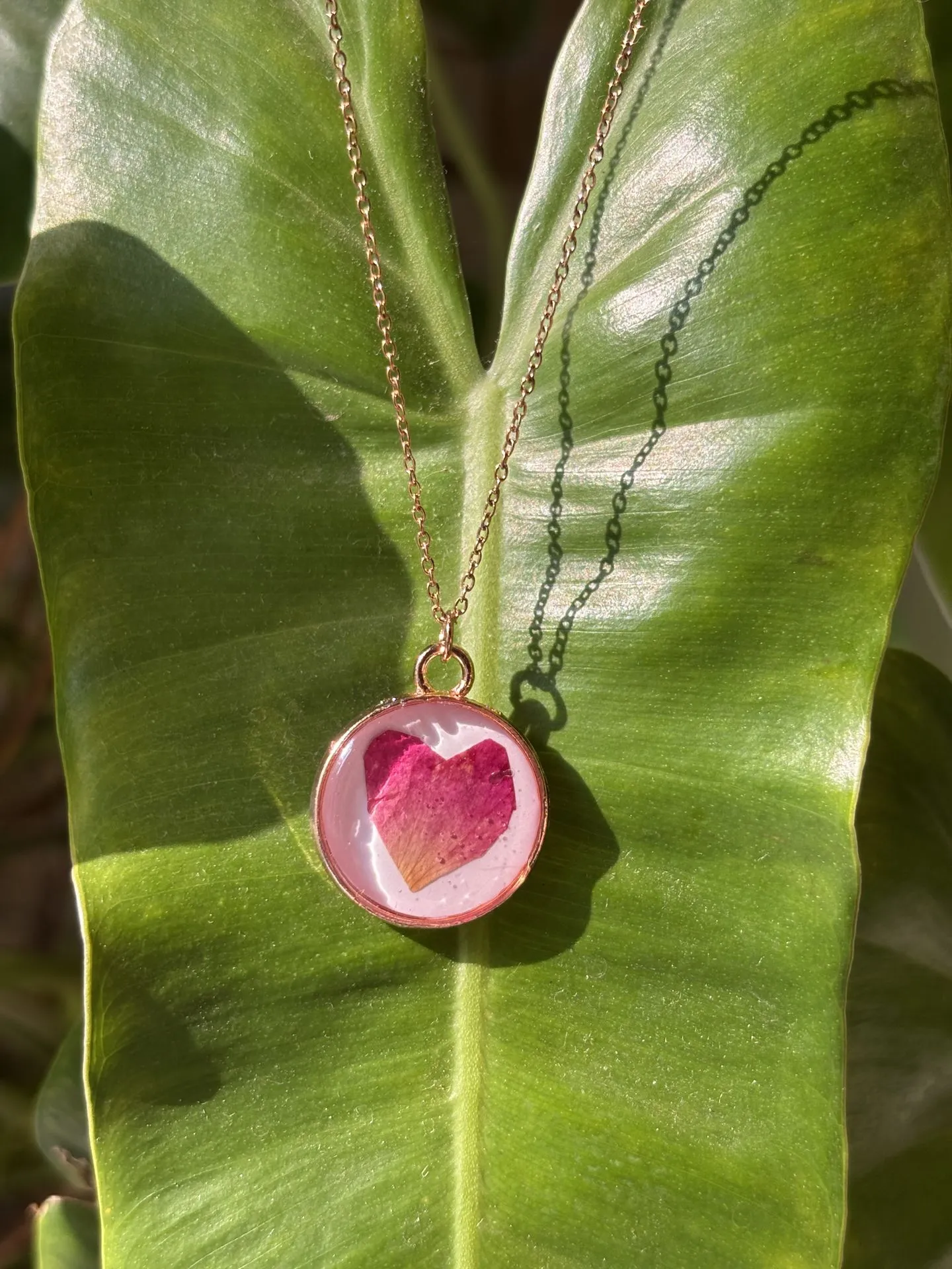 The Blushing Heart