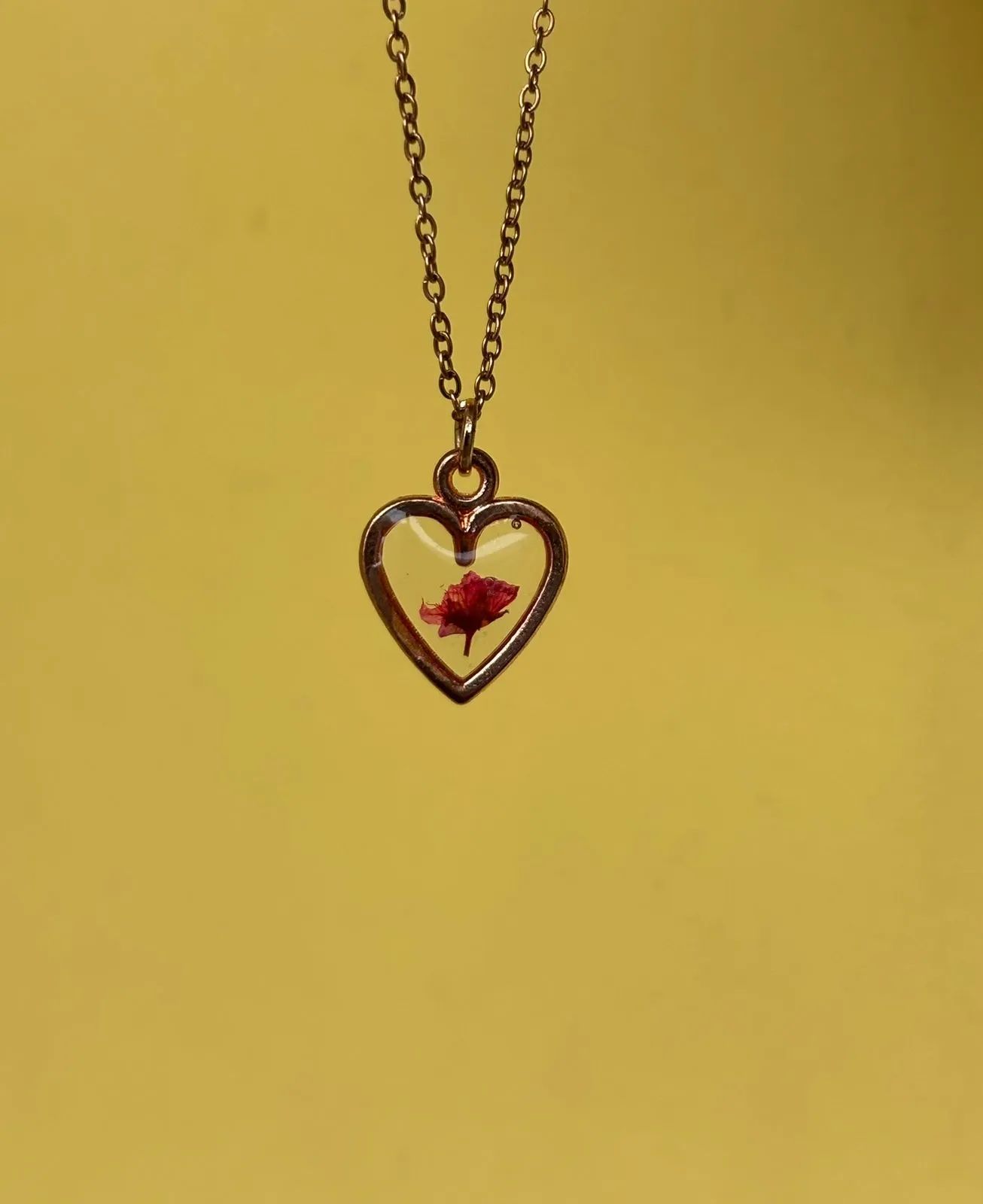 The Secret Locket