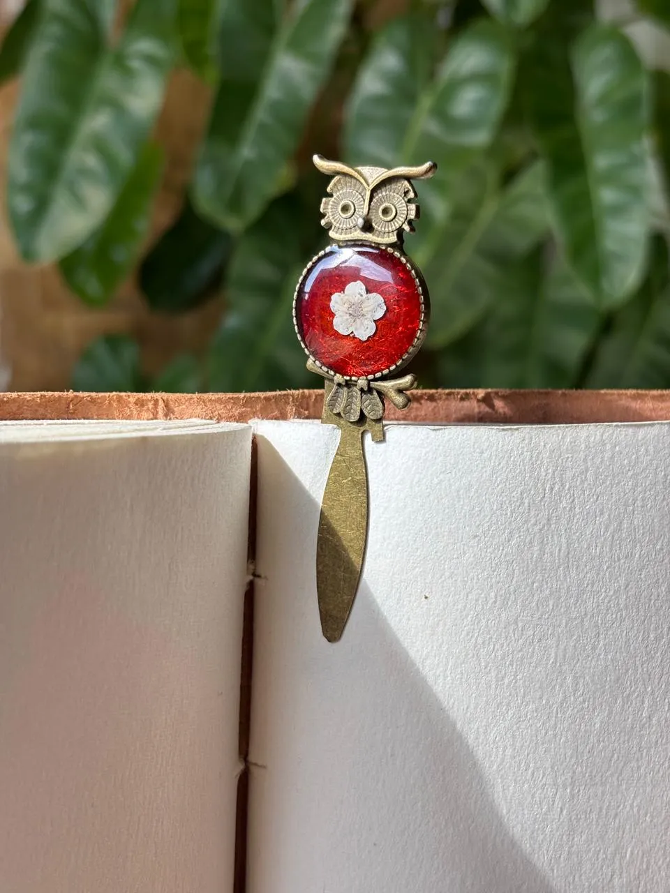 The Scarlet Scholar