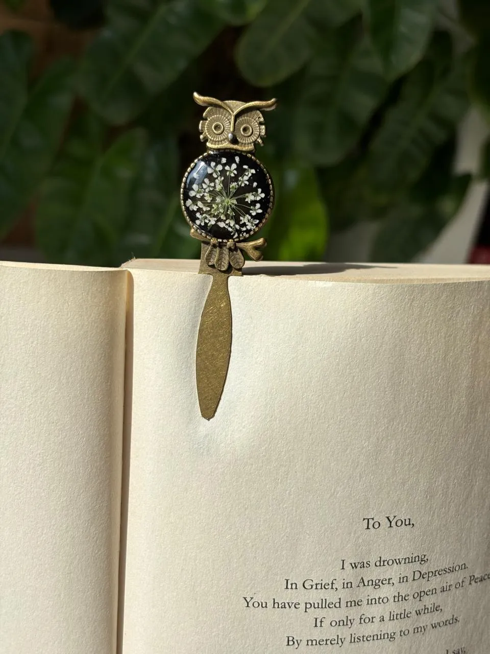 Midnight Lace Owl