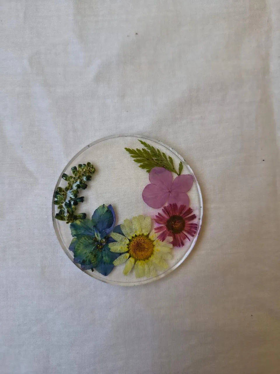 Meadow Coaster